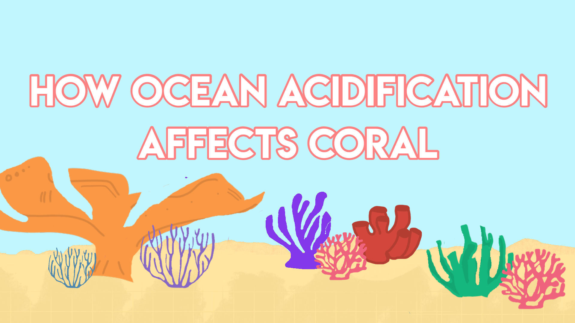 Ocean Acidification's Effects on Coral